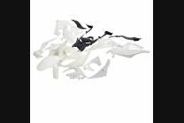 Complete and unpainted fairings in abs with front fender                                                                         2