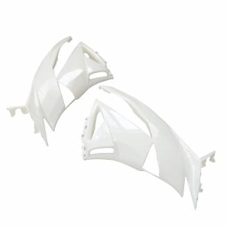 Complete and unpainted fairings in abs with front fender                                                                        