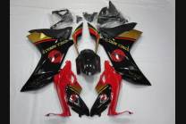 Complete and painted fairings in abs HND CBR 6CF RDR                                                                    