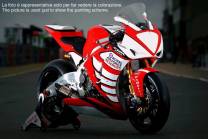Carene racing Honda Cbr 1000 2012 - 2016 verniciate + viti con gommino, ganci rapidi MXPCRV12435