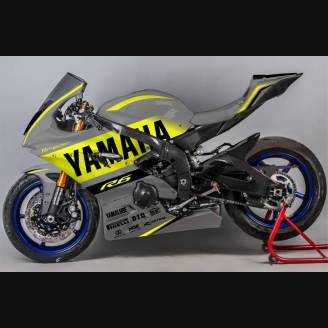 carenado barnizado Yamaha R6 2017 - 2021  + tornillos, tornillos rapidos MXPCRV12803