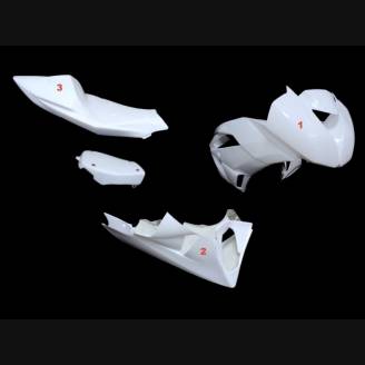 Race-Paket Kawasaki Zx6R 2009 - 2012  : Verkleidungen + Schnellverschluss + Screws - MXPCRD11586