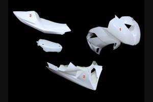 Race-Paket Kawasaki Zx6R 2009 - 2012  : Verkleidungen + Schnellverschluss + Screws - MXPCRD11586