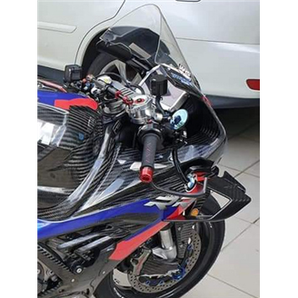 Bmw S 1000 RR 2019 - 2022  right and left winglets in carbon for - MXPCAV14418