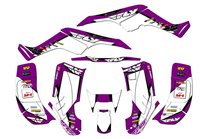 Kit adesivi compatibile con per HONDA TRX 250EX 2001 - 2004  - MXPKAD14959