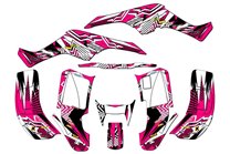 Kit adesivi compatibile con per HONDA TRX 250EX 2001 - 2004  - MXPKAD14959