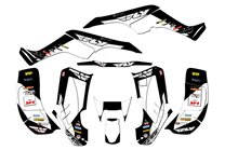 Kit adesivi compatibile con per HONDA TRX 250EX 2001 - 2004  - MXPKAD14959