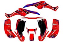 Kit adesivi compatibile con per HONDA TRX 250EX 2001 - 2004  - MXPKAD14959