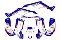 Kit adesivi compatibile con per HONDA TRX 250EX 2001 - 2004  - MXPKAD14959