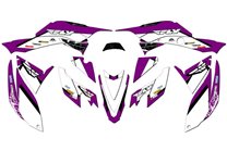 Kit adesivi compatibile con per HONDA TRX 400 EX 2008 - 2018  - MXPKAD14967