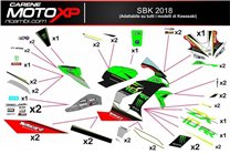 Aufkleber Satz kompatibel mit Kawasaki Zx10R 2008 - 2010 - MXPKAD9883