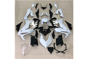 Verkleidungen abs Honda Cbr 650R 2019 - 2023 mit Kotflugel zu lackieren - MXPCAD16605