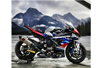 Carene Racing Verniciate Bmw S1000 RR 2019 - 2022 - MXPCRV17729