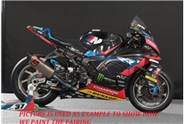 Carene Racing Verniciate Bmw S1000 RR 2019 - 2022 - MXPCRV17973