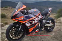 Lackierte Rennverkleidung Suzuki Gsxr 1000 2017 - 2024 -MXPCRV17976