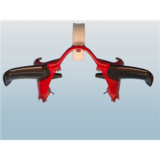Ducati right and left winglets in carbon for Ducati Panigale V4 R - MXPCCB16744