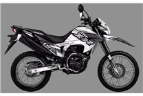 Kit adesivi compatibile con per HONDA XR 190L 2019 - 2020  - MXPKAD18535
