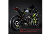 Carene stradali in abs verniciate per Ducati Panigale V4 V4S 2025  - MXPCAV18559 2