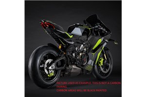 Carenage abs pour la roue avec peinture avec Ducati Panigale V4 V4S 2025  - MXPCAV18559