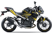 Kit adesivi compatibile con per KAWASAKI Z500 2024 - 2026  - MXPKAD18690
