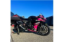 Lackierte Rennverkleidung Suzuki Gsx-8R 2024 - 2025  - MXPCRV18776