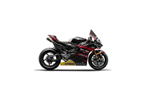 Carene stradali in abs verniciate per Ducati Panigale V4 V4S 2025  - MXPCAV17588