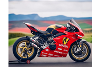 Lackierte Straße Verkleidung auf ABS mit Ducati Panigale V4 V4S 2025  - MXPCAV17725