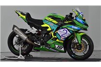 Carene Racing Verniciate Kawasaki Ninja ZX4-R 2024 - 2025 - MXPCRV18339