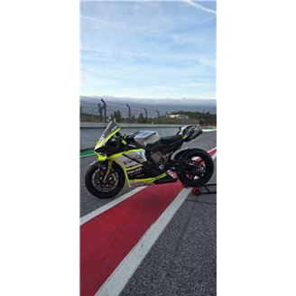 Carene Racing Verniciate Ducati Panigale V4 V4S V4R 2025-2026 + alette - MXPCRV18983