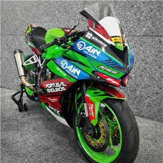 Carene Racing Verniciate Kawasaki Ninja ZX4-R 2024 - 2026 - MXPCRV18961
