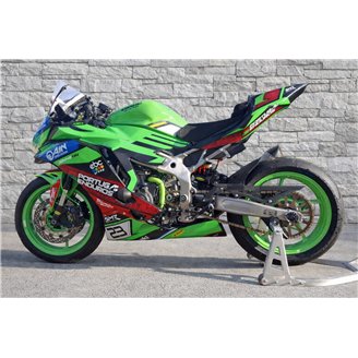 Carene Racing Verniciate Kawasaki Ninja ZX4-R 2024 - 2026 - MXPCRV18961