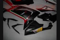 Carenage en abs pour la roue avec peinture compatible avec Aprilia RS 125 2006 - 2010 - MXPCAV4509