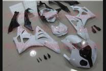 Verkleidungen abs Bmw S 1000 RR 2009 - 2014  mit Kotflugel zu lackieren INJ - MXPCAD4716