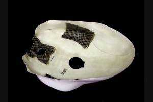 Copriserbatoio verniciato Ducati 1299 959 Panigale - MXPCRV5634