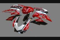 Carene Racing Verniciate Ducati 1199 899 Panigale - MXPCRV6018