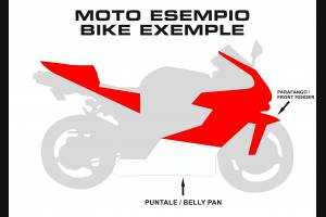 Carene Racing Verniciate Triumph 675 2013 - 2018 + adesivi in omaggio  - MXPCRV6026